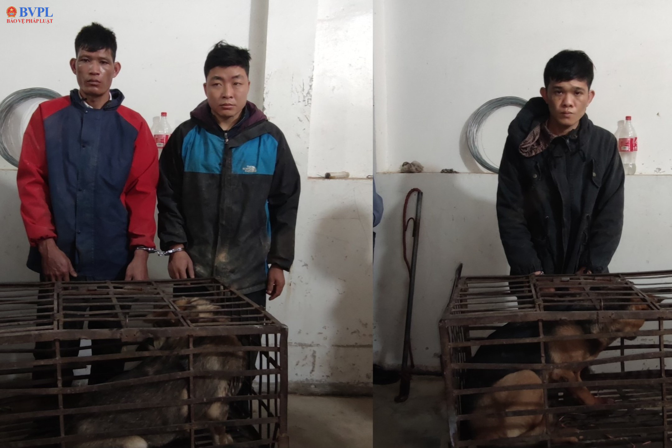 Bắt 3 đối tượng dùng kích điện trộm chó ở TP Điện Biên Phủ