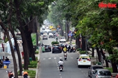 TP Hồ Chí Minh Những con đường rợp bóng cây xanh xoa dịu nắng nóng