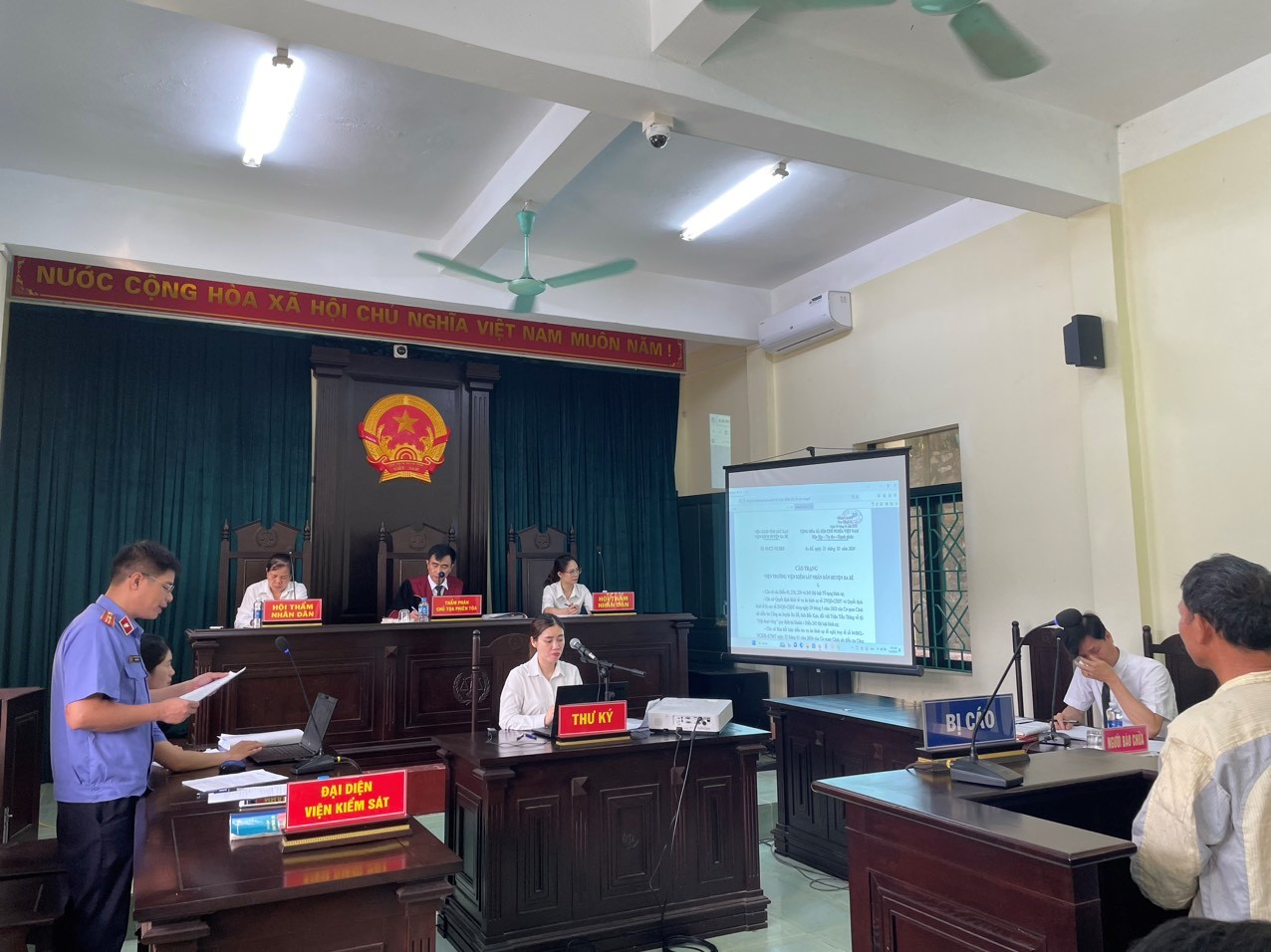 Muốn trồng cây mỡ lại đi hủy hoại rừng, lĩnh 12 tháng tù