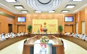 Đề xuất sửa đổi một số chế độ với thành viên cơ quan Việt Nam ở nước ngoài