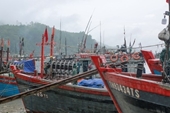 Chìm tàu cá khiến 4 ngư dân mất tích