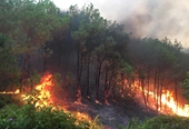 Thủ tướng yêu cầu quyết liệt triển khai biện pháp phòng cháy, chữa cháy rừng trên phạm vi cả nước