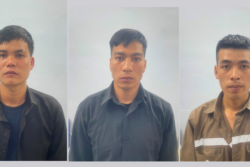 Khởi tố nhóm đối tượng trộm cắp dây cáp điện tại khu du lịch