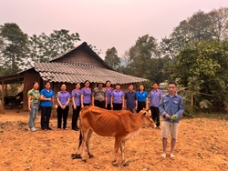 VKSND huyện Điện Biên phối hợp bàn giao công trình sửa chữa trường học, tặng bò người dân