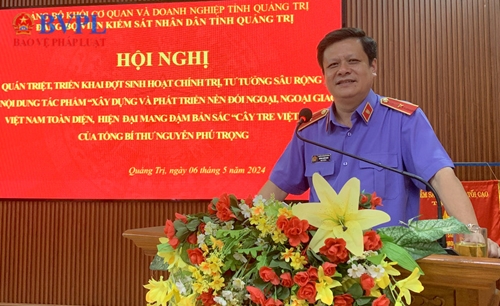Sinh hoạt chính trị về đường lối, chính sách đối ngoại của Việt Nam