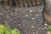 Đầu mùa mưa, cá chết, rác nổi lềnh bềnh trên kênh Nhiêu Lộc - Thị Nghè