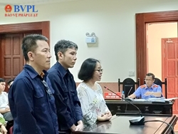 Hoãn phiên tòa phúc thẩm vụ nữ Việt kiều lừa bán căn hộ hơn 300 tỉ đồng