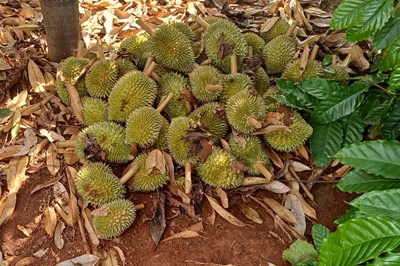 baovephapluat.vn