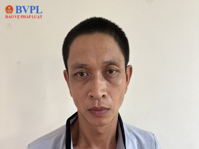 “Dơi đêm” đột nhập cửa hàng Điện Máy Xanh trộm tài sản gần 150 triệu đồng