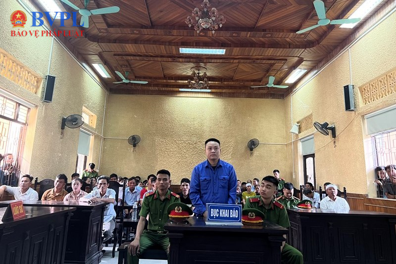 Án chung thân đối với bị cáo giết người vô cớ