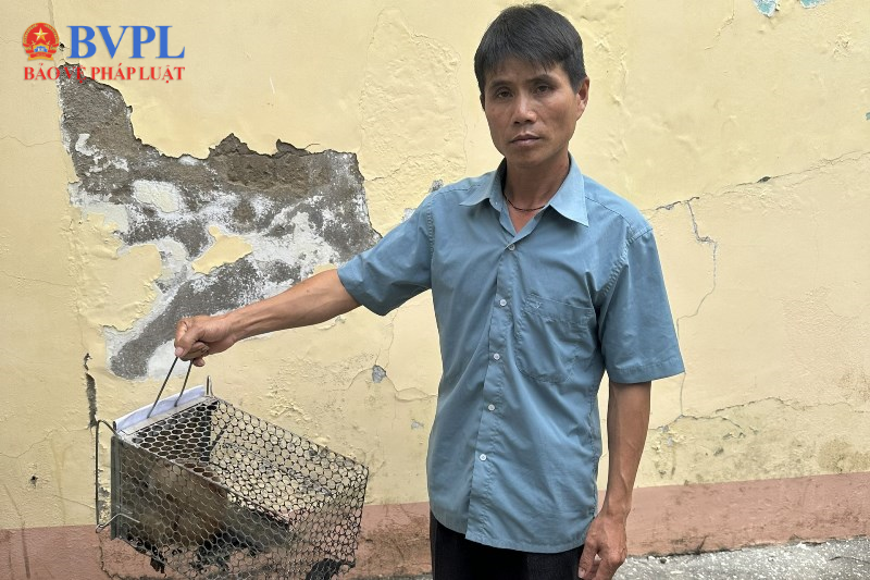 Mua cu li mang về nuôi, người đàn ông bị khởi tố