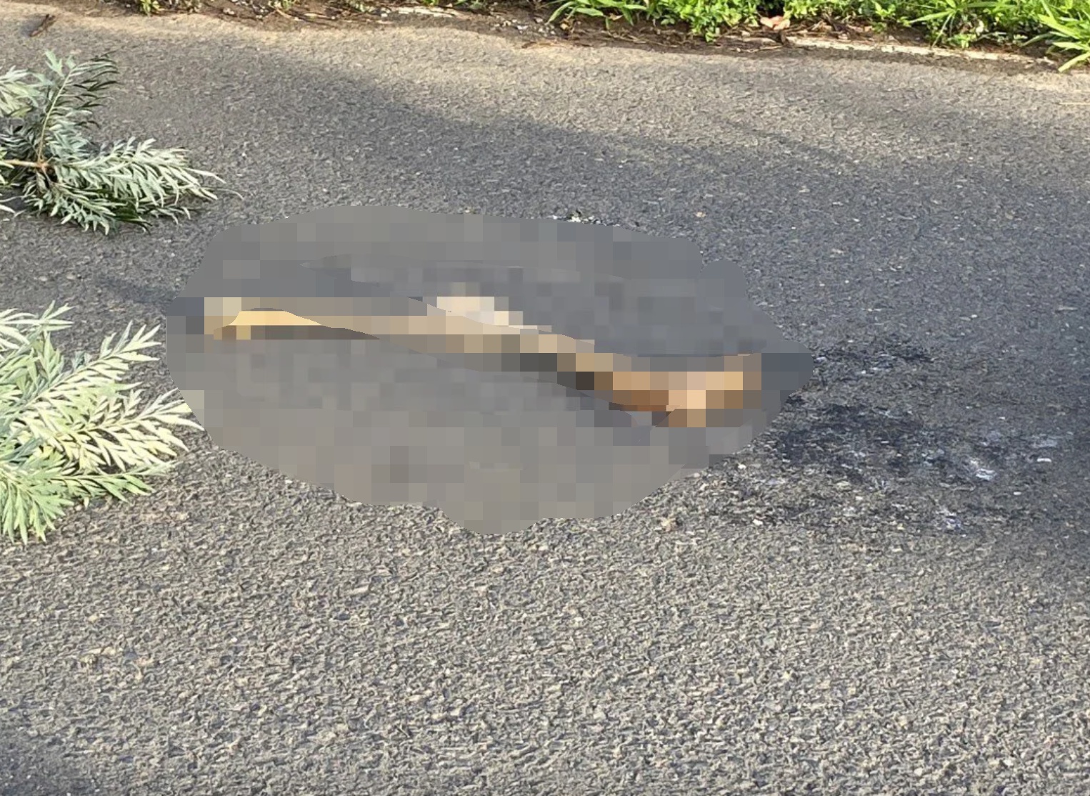 Tìm thấy thi thể nữ giới, cách nơi phát hiện chân người khoảng 500m