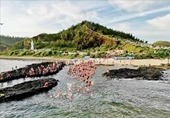 600 vận động viên tranh tài Giải bơi vượt biển Lý Sơn Cross Island 2024
