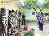 VKSND huyện Hàm Thuận Bắc trực tiếp kiểm sát hoạt động tạm giữ, tạm giam và thi hành án phạt tù