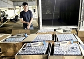 Phát hiện ôtô chở 13 000 gói thuốc lá ngoại nhập lậu ở Long An