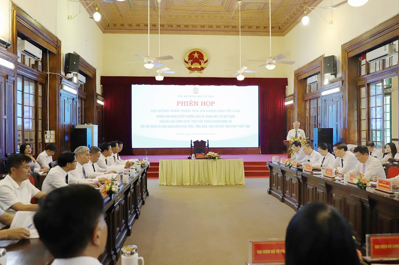 Công bố Nghị quyết số 04 2024 NQ-HĐTP của Hội đồng Thẩm phán TAND tối cao