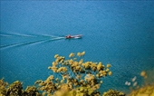 Phát triển Khu du lịch hồ Hòa Bình sớm trở thành khu du lịch quốc gia