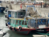 Thu giữ 7 thuyền đò neo đậu trái phép trên vịnh Hạ Long