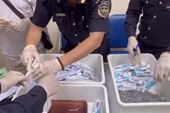 Thu giữ hơn 20kg ma túy qua đường hàng không và bưu chính