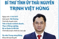 Bí thư Tỉnh ủy Thái Nguyên Trịnh Việt Hùng