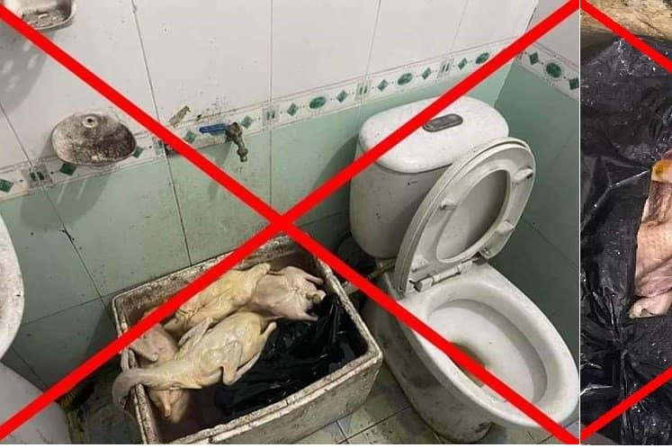 Xác minh vụ việc quán vịt quay có giòi ở Quảng Ninh