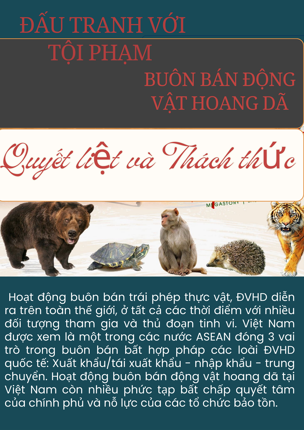 ảnh slide
