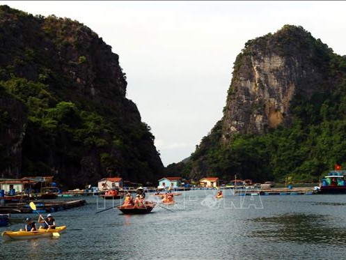 Khám phá làng chài Vung Viêng trên vịnh Hạ Long