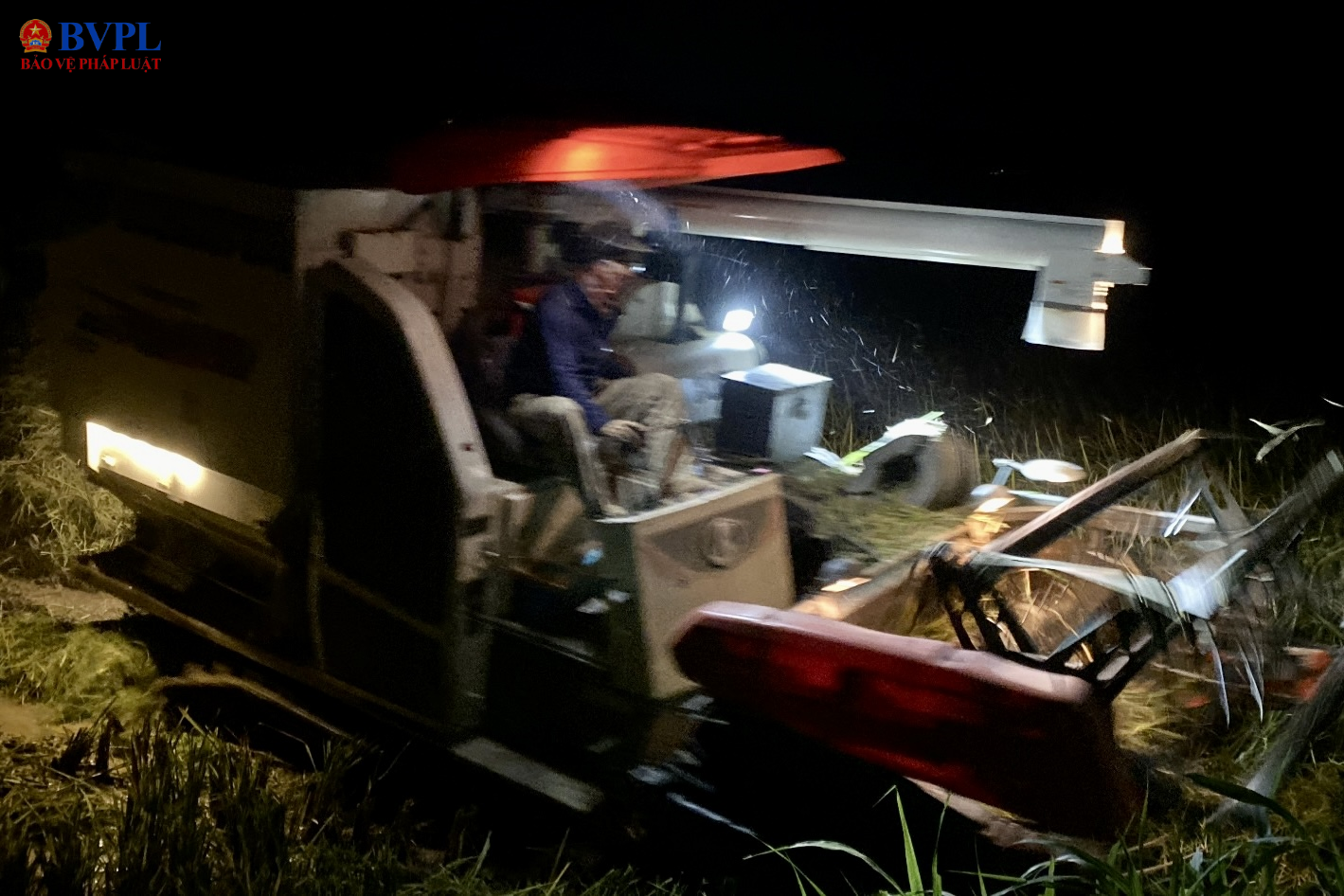 Tiếp tục mưa lớn, người dân Thanh Hoá gặt lúa xuyên đêm chạy lũ