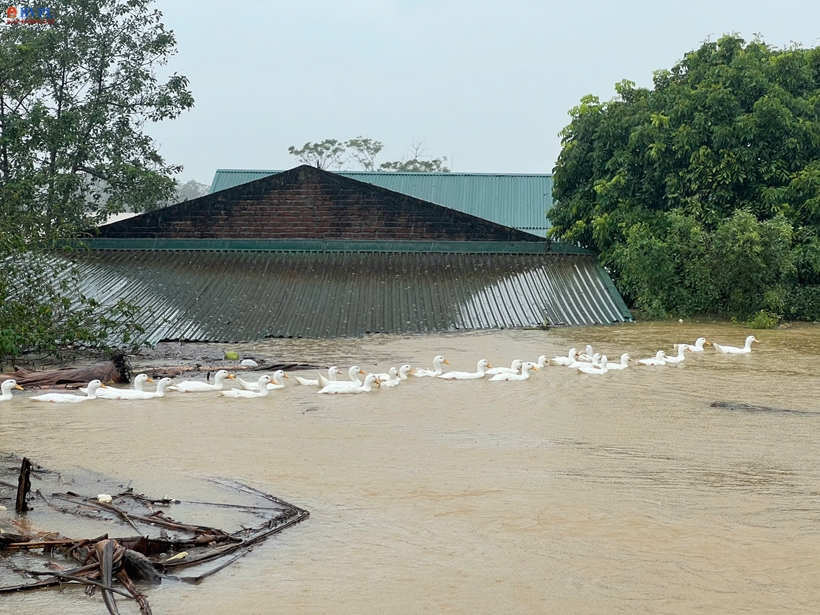 Người dân một số xã tại huyện Chương Mỹ, Hà Nội lại khốn khổ vì mưa lũ