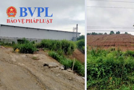 Nỗi lo của người dân bên trang trại bò nghìn tỉ