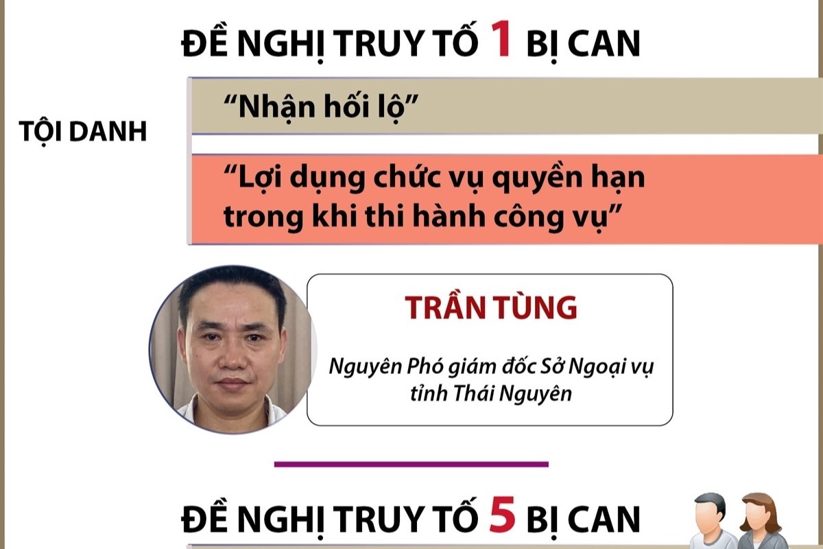 Đề nghị truy tố 17 bị can trong vụ chuyến bay giải cứu giai đoạn 2