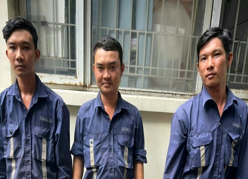 Bắt 4 đối tượng chặt cây trên dải phân cách do che bảng quảng cáo công ty