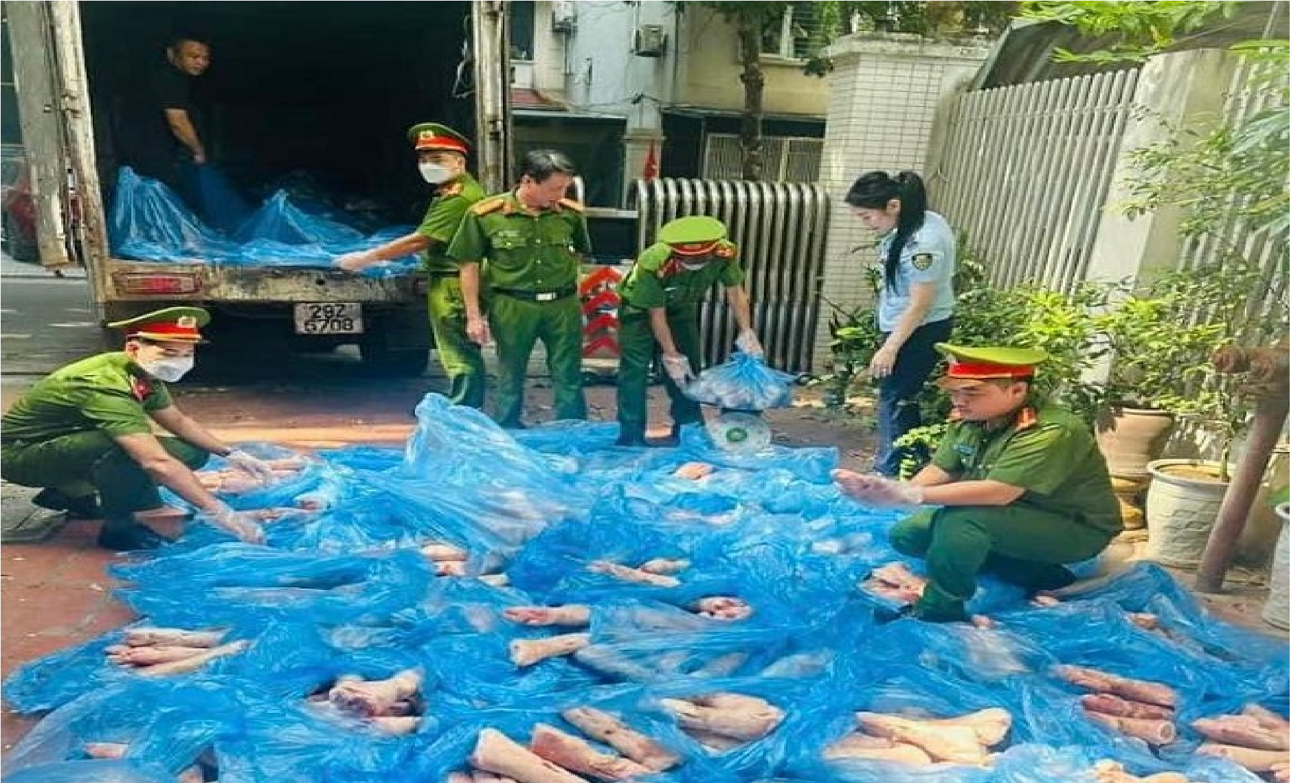 Tịch thu và tiêu hủy hơn 1 tấn chân giò không rõ nguồn gốc, xuất xứ