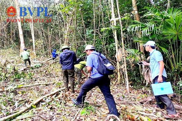 Ban hành các kiến nghị phòng ngừa tội phạm và vi phạm pháp luật