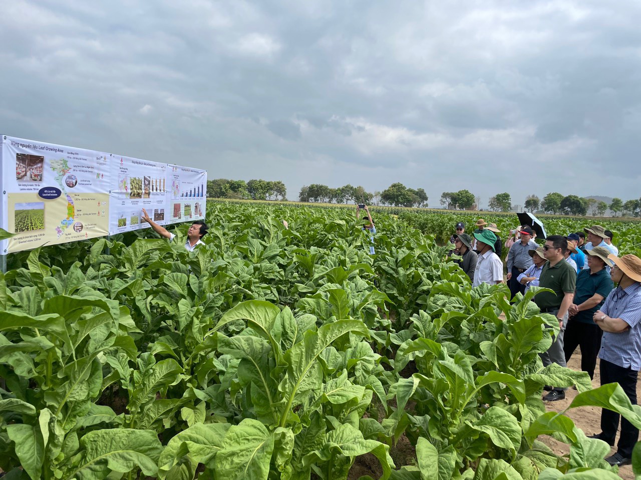 Sử dụng hàng Việt để tăng cường tự chủ trong sản xuất