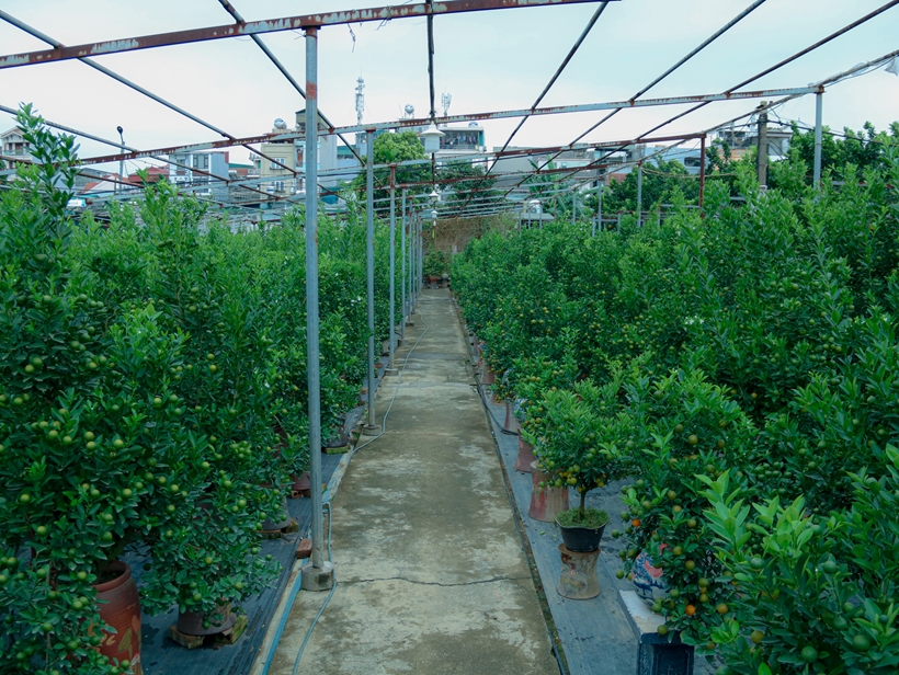 https://baovephapluat.vn/data/images/0/2024/12/12/ngocpc/2.jpg?dpi=150&quality=100&w=820