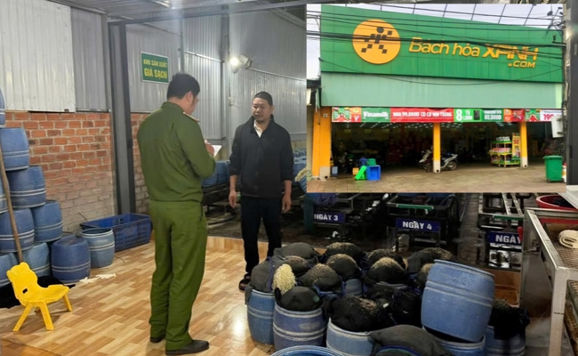 Thông tin mới nhất vụ gần 3 000 tấn giá đỗ ngâm chất cấm ở Đắk Lắk