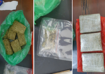 Phá chuyên án, thu giữ gần 12 kg cần sa