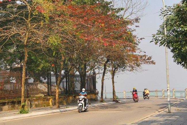 Trước khi không khí lạnh tràn về, Bắc nắng ấm, Nam Bộ dịp tết nắng đẹp