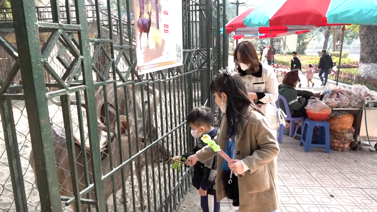 Người dân Thủ đô hồ hởi du xuân