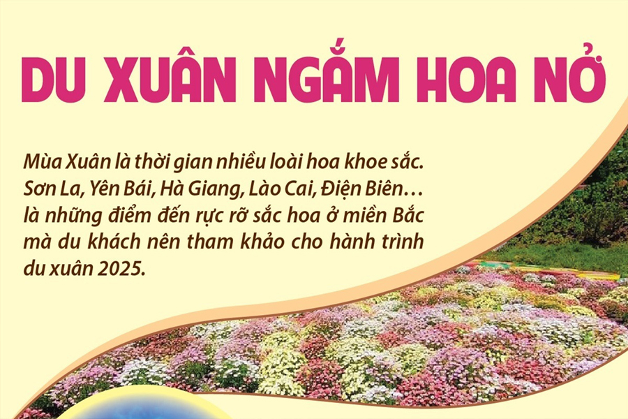 Du xuân ngắm hoa nở