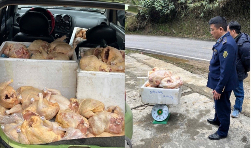 Phát hiện xe chở hơn 180 kg thịt gà không rõ nguồn gốc, bốc mùi