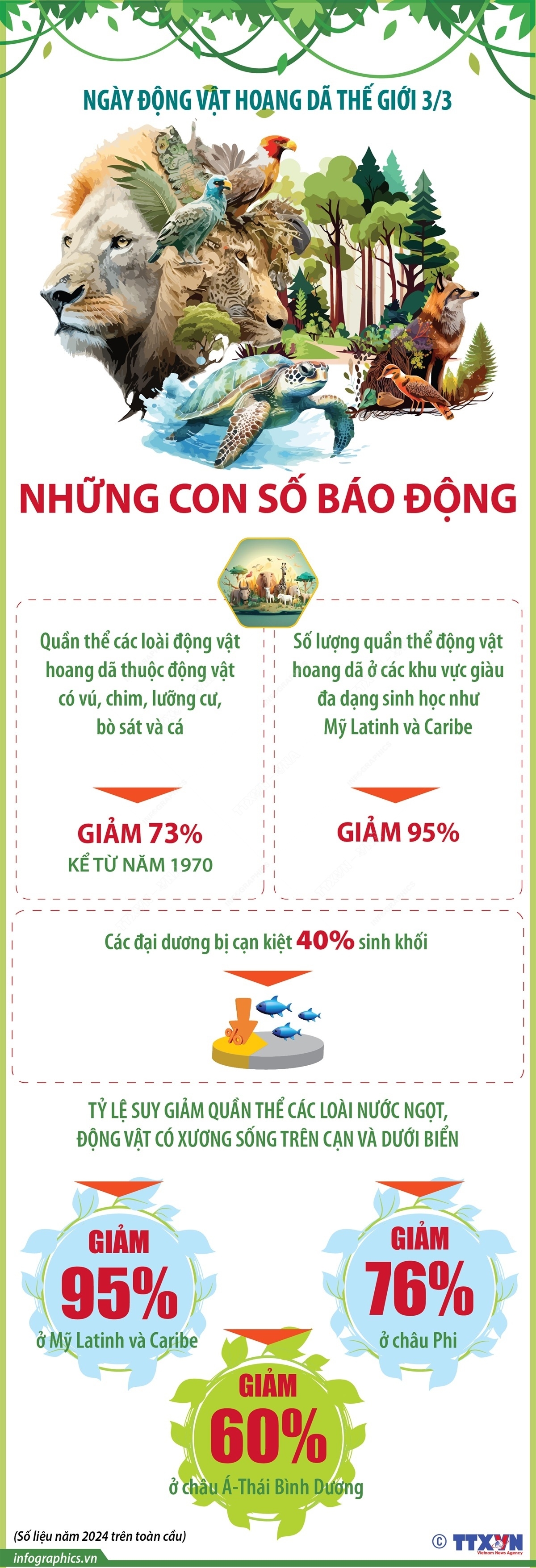 ảnh slide