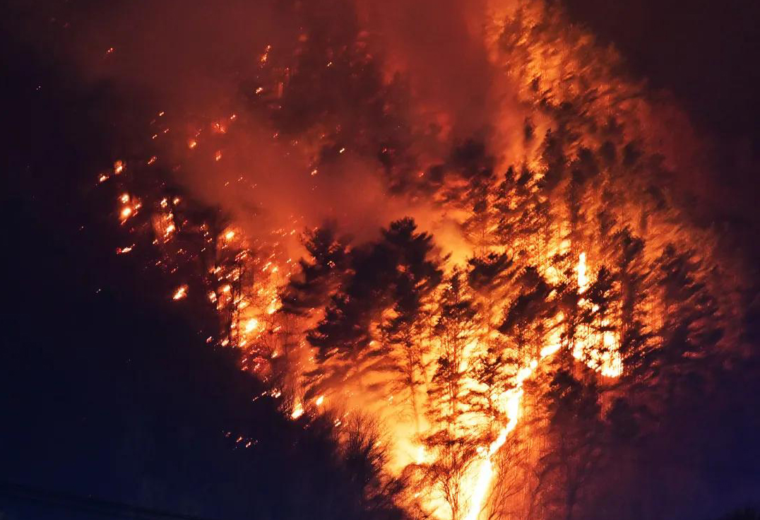 Cháy rừng nghiêm trọng, Hàn Quốc ban bố tình trạng thảm họa quốc gia