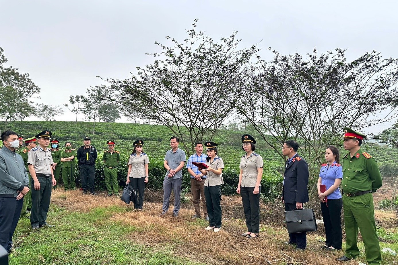 Kiểm sát việc cưỡng chế giao quyền sử dụng đất