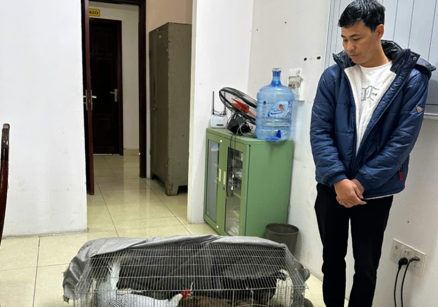 Phát hiện đối tượng vận chuyển động vật nguy cấp, quý hiếm