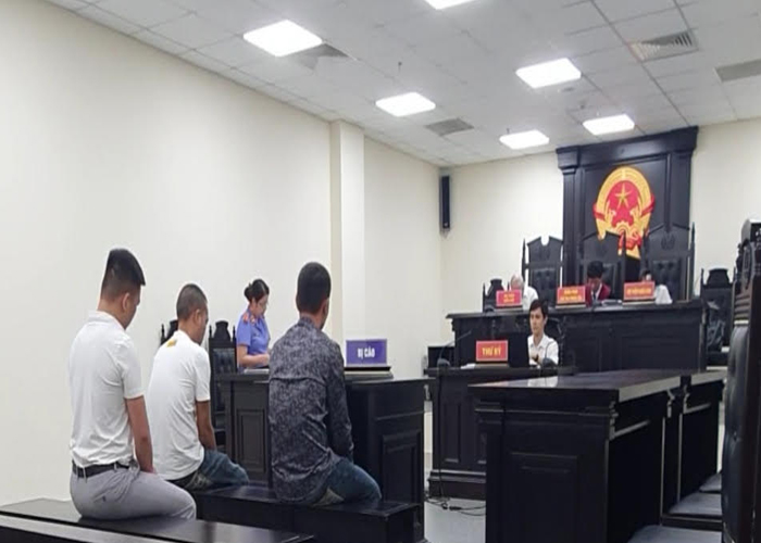 Xử phạt đối tượng cầm đầu đường dây buôn bán động vật hoang dã 7 năm tù