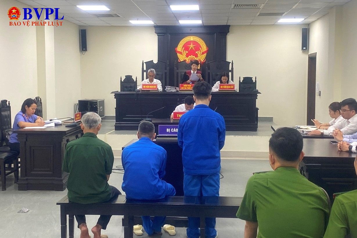 Vụ tai nạn giao thông làm 4 mẹ con tử vong 2 tài xế xe tải và chủ doanh nghiệp lĩnh án