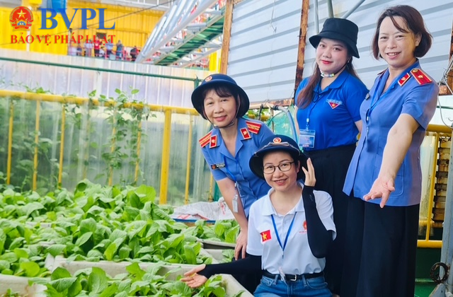 Bài 4 Hạt sống nảy mầm giữa biển khơi