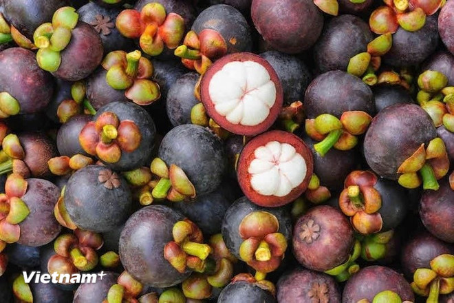 Những đặc sản ngon tuyệt, hấp dẫn chỉ có trong nắng Hè tháng 6